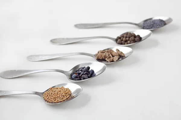 Spices in metal spoons — Stock Photo, Image