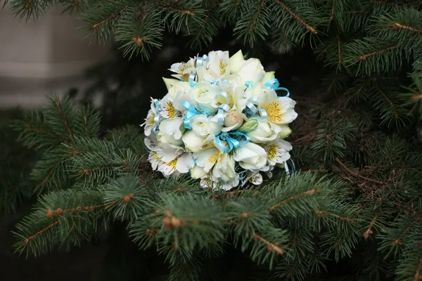 Bridal bouquet on the branches of trees — Stock Photo, Image