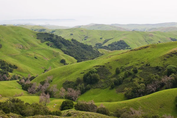 Rolling hills — Stock Photo, Image