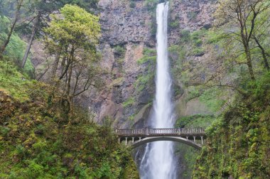 Multnomah Falls