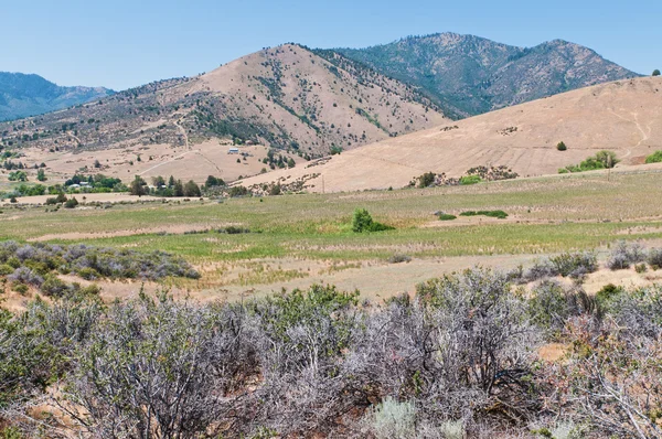 Valle di Shasta — Foto Stock