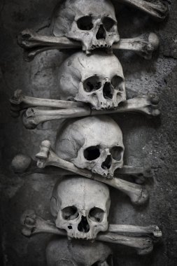 Skull and bones clipart