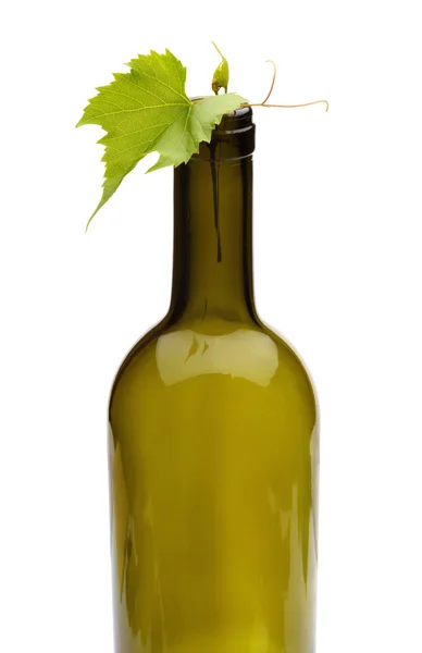 Винна пляшка і зелена виноградна лоза — стокове фото