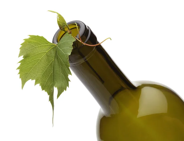 Butelka wina i zielony winogron winorośli — Zdjęcie stockowe
