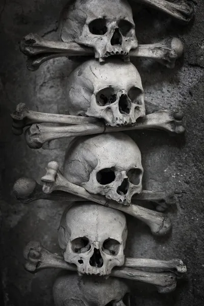 Cráneo y huesos —  Fotos de Stock