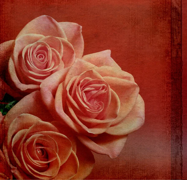 有玫瑰的老式贺卡 — 图库照片