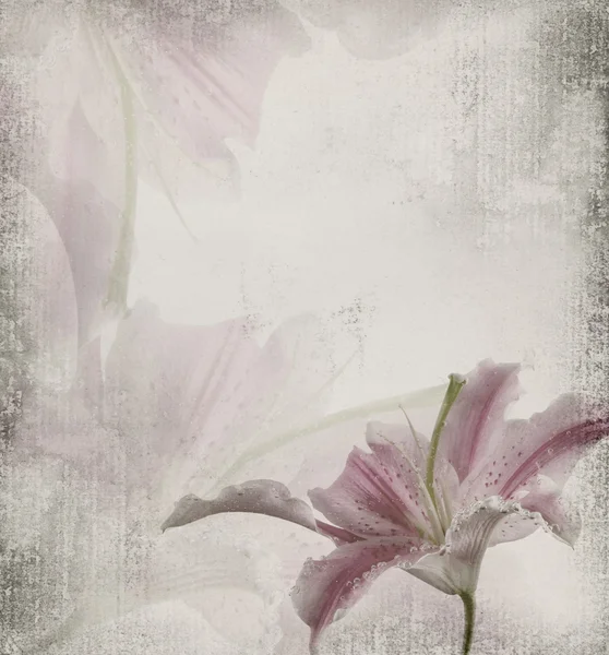 Гранжевий фон з квіткою — стокове фото