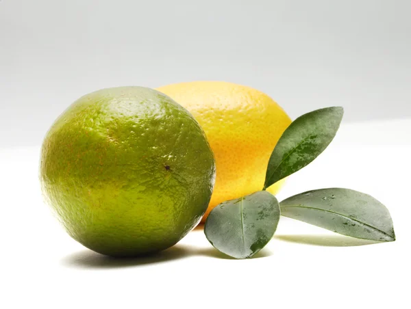 Лимон и лайм — стоковое фото