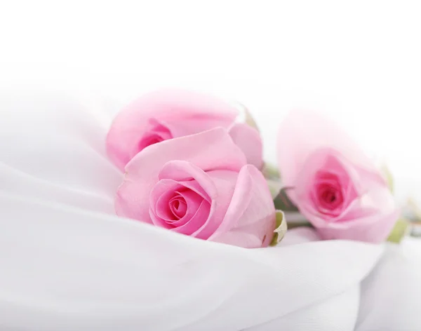 Rosas em seda — Fotografia de Stock