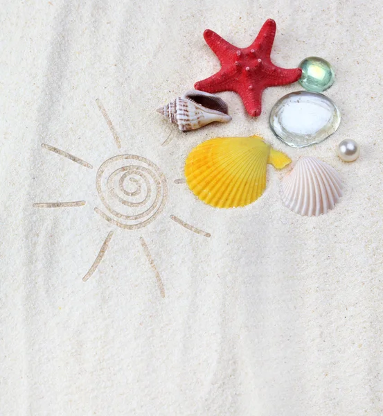Coquilles de mer sur sable — Photo