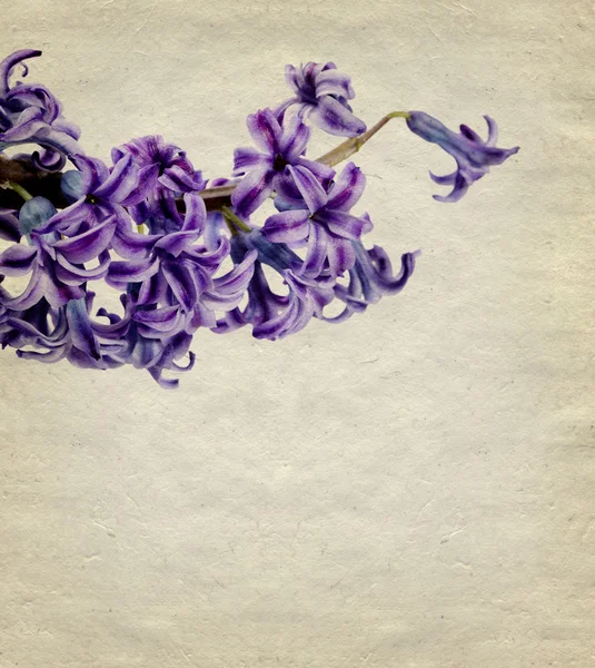 Vintage φόντο με λουλούδι — Φωτογραφία Αρχείου