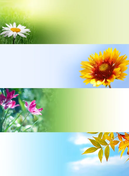 Nature web banners — Stock Photo, Image