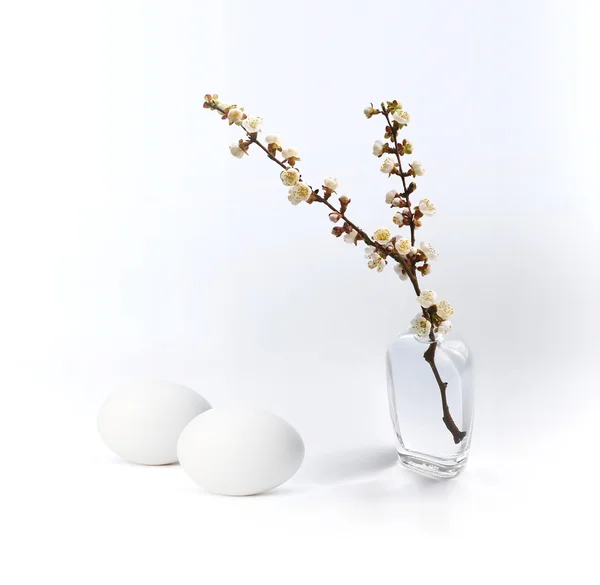 Uovo con ramoscello in vaso — Foto Stock