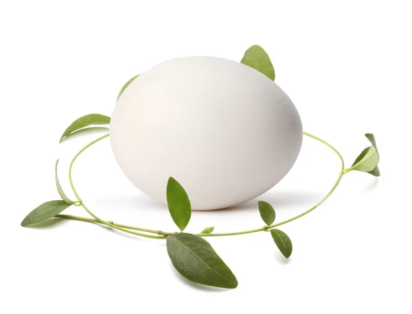 Huevo con hoja — Foto de Stock