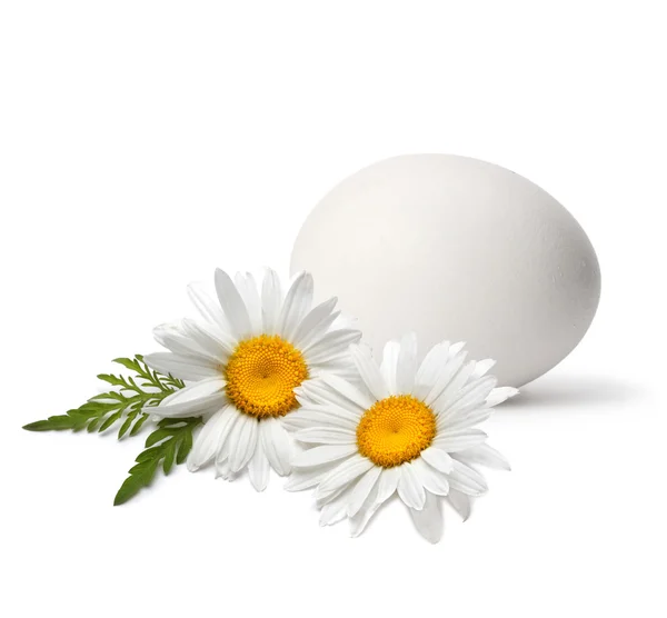 Huevo con flor — Foto de Stock