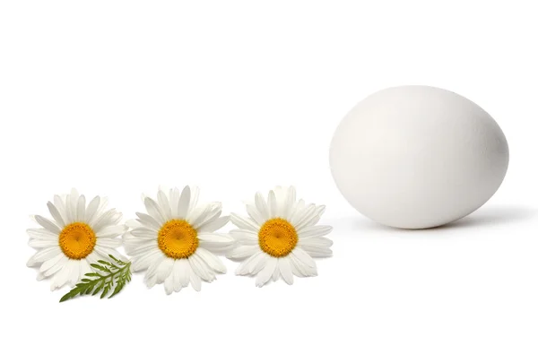 Jajko z kwiatem — Zdjęcie stockowe