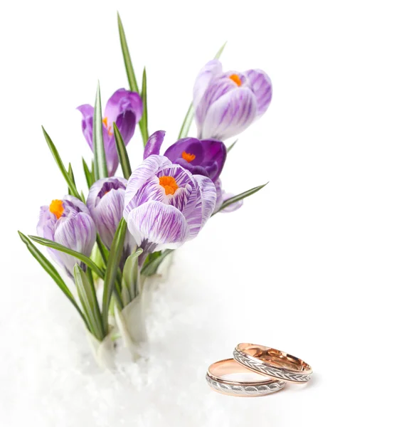 Wedding rings and flower — Stock Photo, Image