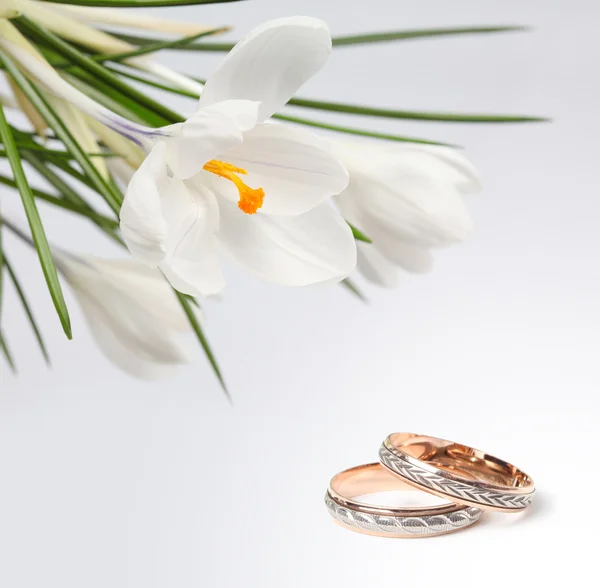Wedding rings and flower — Stock Photo, Image