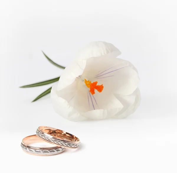 Snubní prsteny a květina — Stock fotografie
