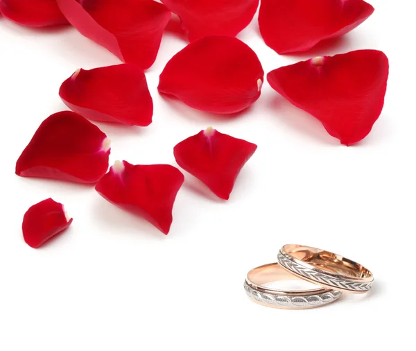 Snubní prsteny a lístky růží — Stock fotografie