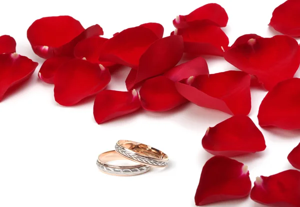 Anéis de casamento e pétalas de rosa — Fotografia de Stock