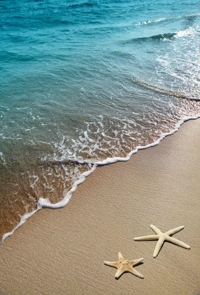 Rozgwiazda na piasku plaży — Zdjęcie stockowe