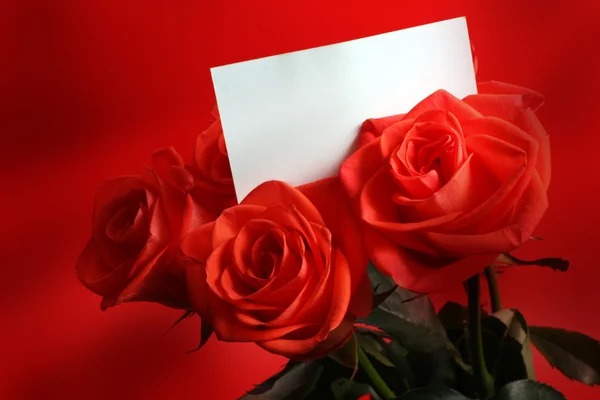 Rosa rossa con cartolina — Foto Stock