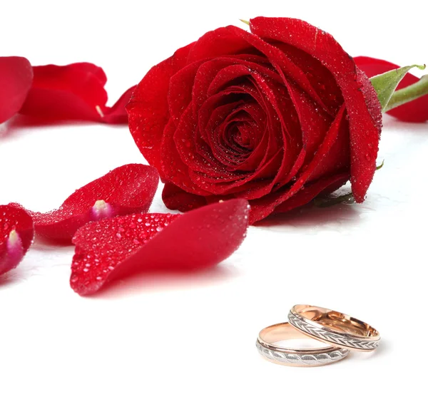 Wedding rings and rose Stock Picture