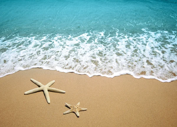 Estrela do mar em uma areia de praia — Fotografia de Stock