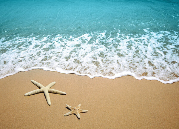 Starfish on a beach sand Royalty Free Stock Photos