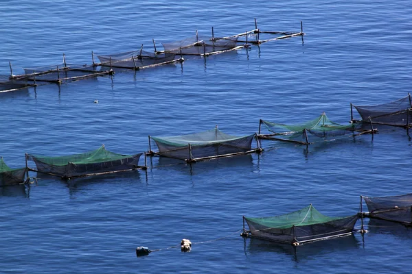 Fishnets in lake Titikaka — Stock Photo, Image