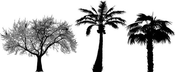 Üç Ağaç — Stok Vektör