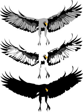 Swooping eagle clipart