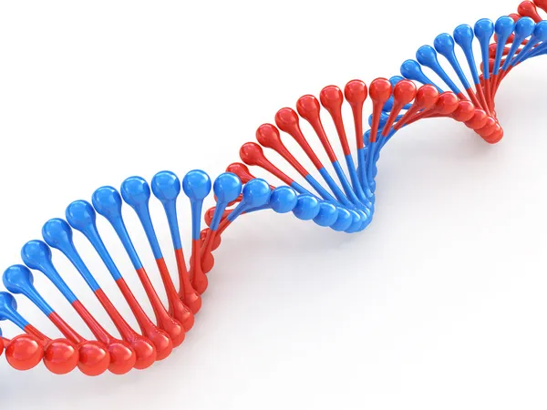 Código de DNA 3d conceito isolado em branco — Fotografia de Stock