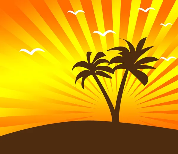 棕榈树与热带日落背景 — 图库照片