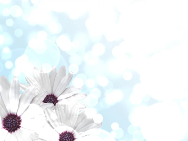 Blå abrstract bakgrund med blomma — Stockfoto