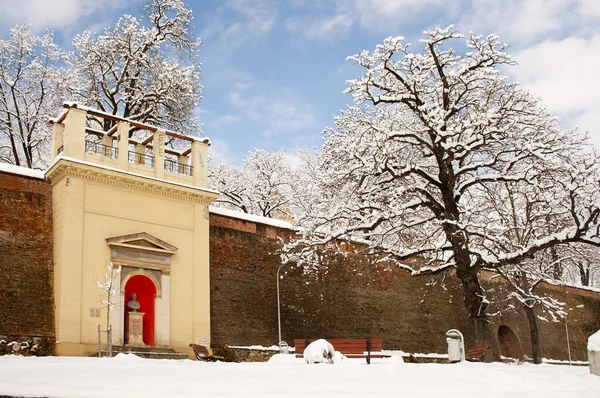 Parc de iarnă — Fotografie, imagine de stoc