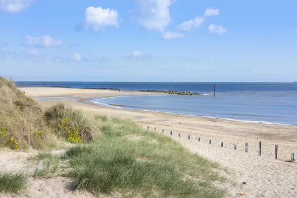 Caister на морском пляже и песчаных дюнах — стоковое фото