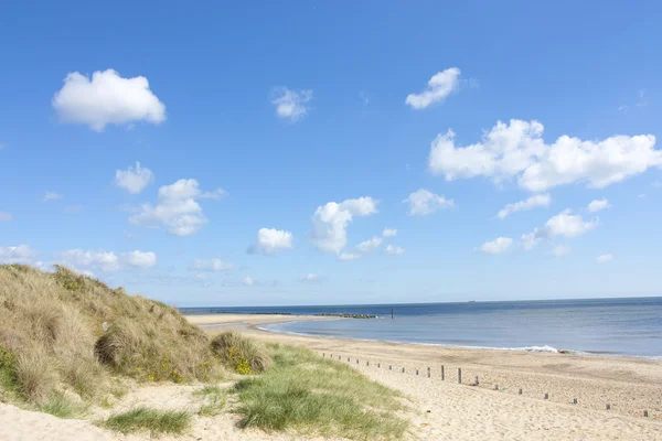 Caister на морском пляже и песчаных дюнах — стоковое фото