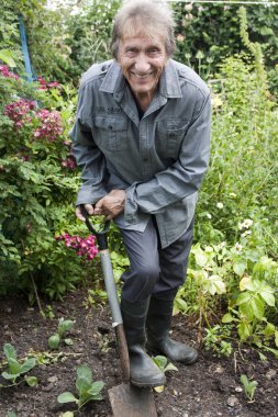 Man gardening and smiling at camera clipart