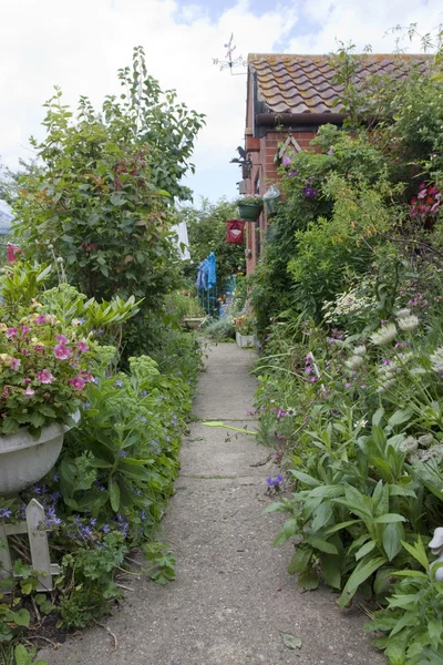 Garden path to a country cottage garden — Stock Photo, Image