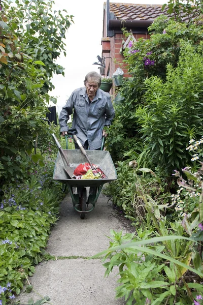 Uomo anziano spingendo una carriola sul suo percorso giardino — Foto Stock