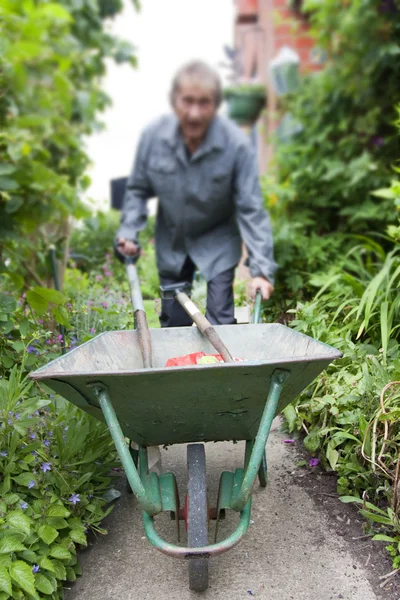 Concentre-se em um carrinho de mão no jardim — Fotografia de Stock