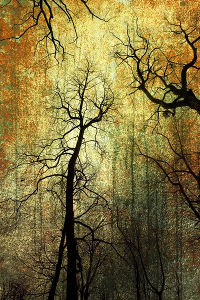 Floresta Grunge — Fotografia de Stock