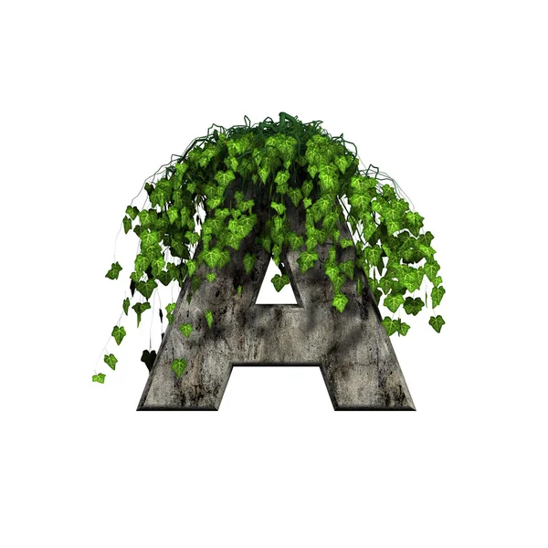 Зеленый плющ на 3d каменной буквы - а — стоковое фото