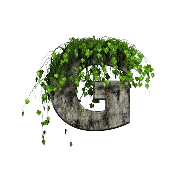 Grüner Efeu auf 3d Stein Buchstabe - g — Stockfoto