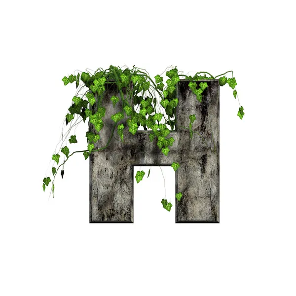 Green ivy on 3d stone letter - h — Stock Photo, Image