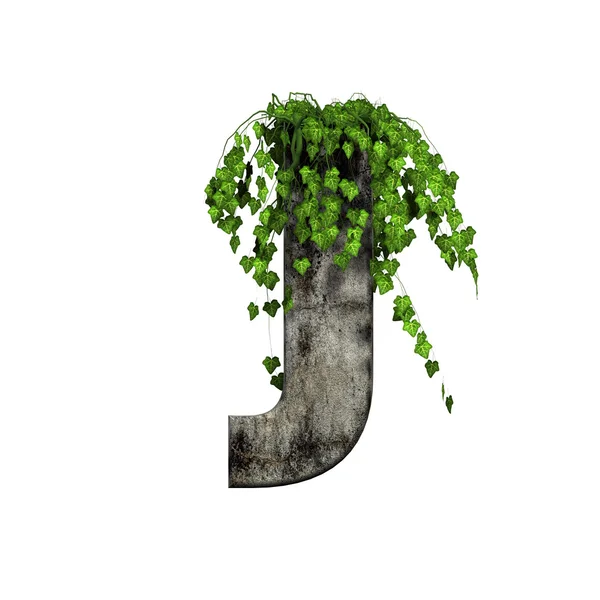 Grüner Efeu auf 3d Stein Buchstabe - j — Stockfoto