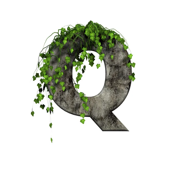 Green ivy on 3d stone letter - q — Stock Photo, Image