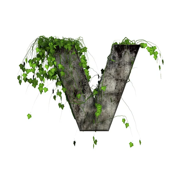Edera verde su 3d lettera di pietra - v — Foto Stock